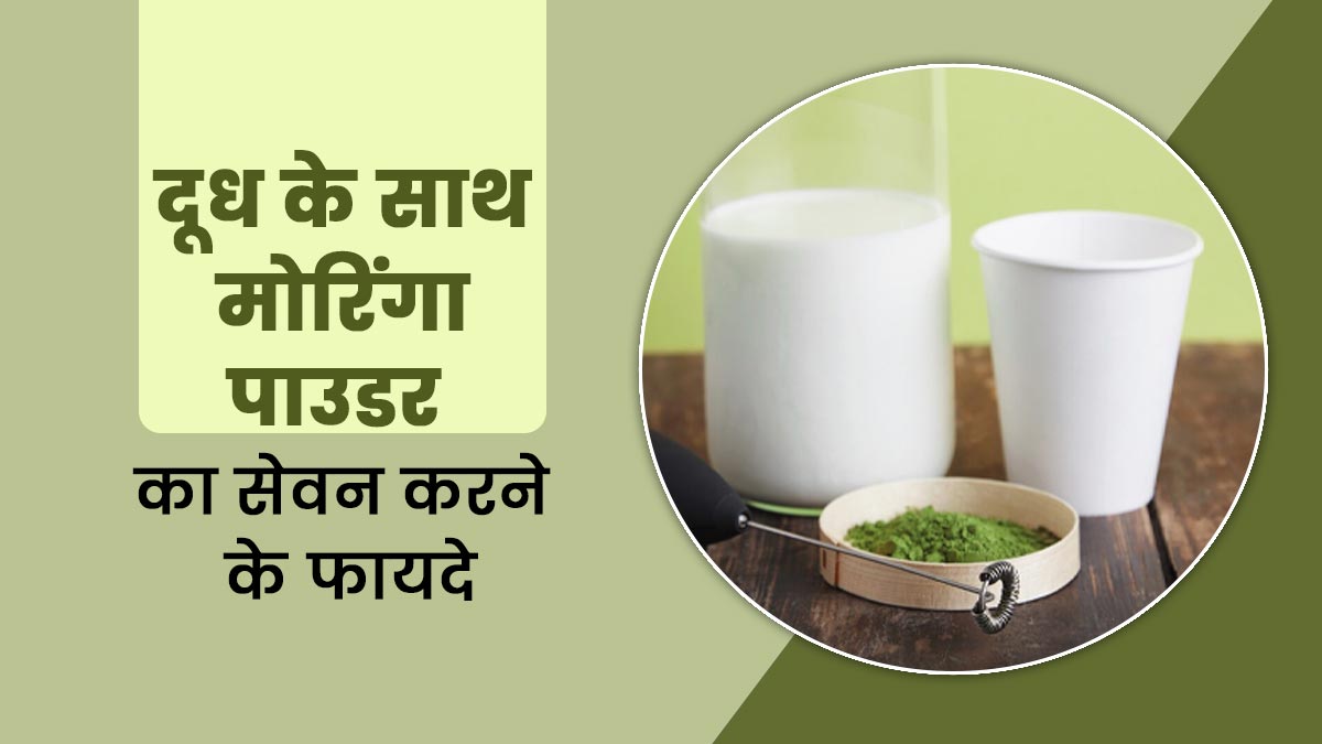 दूध के साथ मोरिंगा पाउडर का सेवन करने से मिलते हैं ये 4 फायदे, डाइट में जरूर करें शामिल