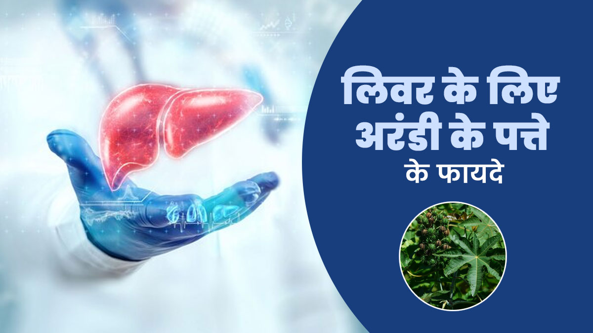 लिवर को हेल्दी रखने में मददगार हैं अरंडी के पत्ते, जानें आयुर्वेदाचार्य से फायदे और उपयोग