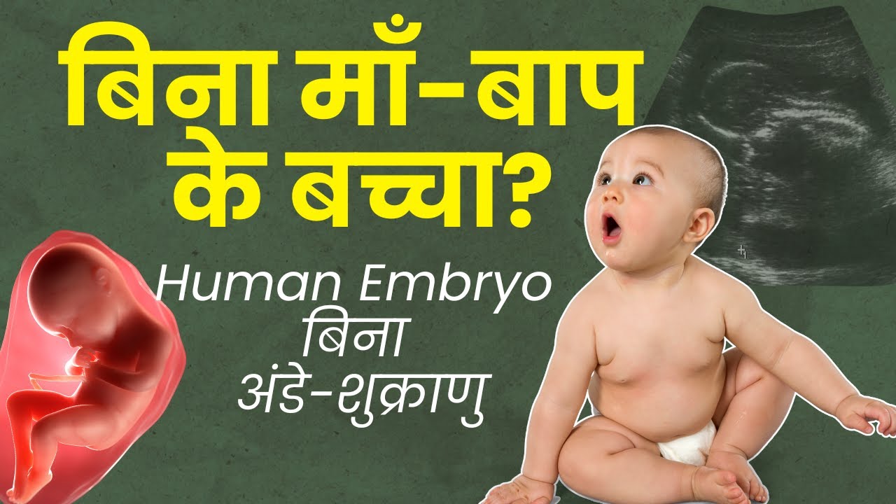      Human Embryo    Dr Rita Bakshi Explains I Maa Strong
