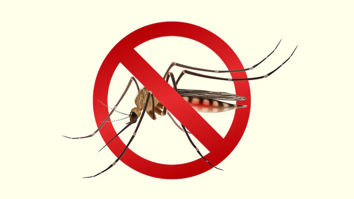 Malaria Prevention Tips: How to Protect Your Family This Season
