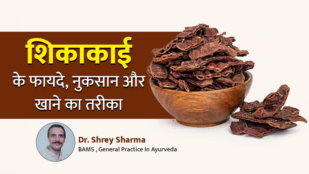 शिकाकाई के फायदे, नुकसान और खाने का तरीका, जानें आयुर्वेदाचार्य से