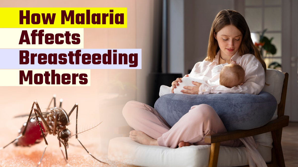 How Malaria In The Postpartum Period Affects Breast Health? Expert Weighs In
